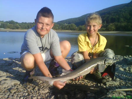 Jeseter 91 cm VN Môťová 2.9.2011